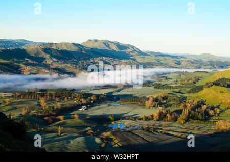 Mattinata a Te Mata, Nuova Zelanda Foto Stock