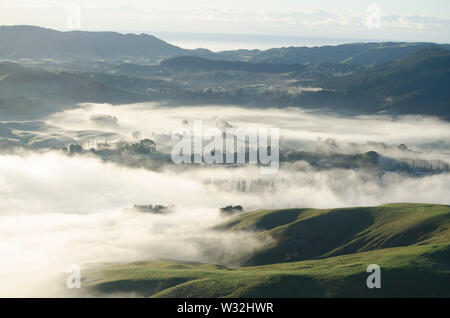 Mattinata a Te Mata, Nuova Zelanda Foto Stock