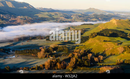 Mattinata a Te Mata, Nuova Zelanda Foto Stock