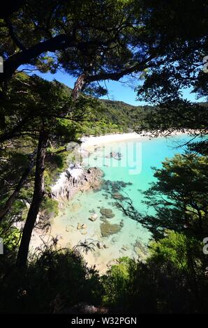 Costa del Parco Nazionale di Abel Tasman Foto Stock