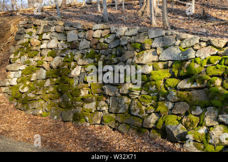 Antico muro fatto di moss-pietre coperte accanto a un piccolo sentiero forestale Foto Stock