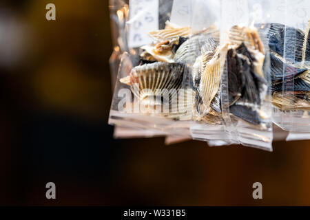 Essiccato blowfish o giapponese tiger puffer alette per hirezake caldo bere sake in sacchetti di plastica di pacchetti in del pesce di Tsukiji street mercato esterno in Ginza Tokyo Foto Stock