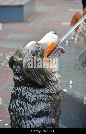 La mitica Fontana del cane a Berzcy Park nel centro cittadino di Toronto Foto Stock