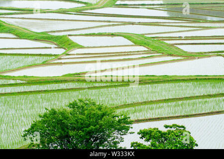 Tashinobusho, preziosi villaggio in Giappone, il World Agricultural Heritage Site Foto Stock