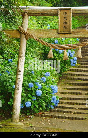 Santuario Sumiyoshi, Prefettura di Kumamoto, Giappone Foto Stock