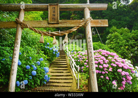 Santuario Sumiyoshi, Prefettura di Kumamoto, Giappone Foto Stock