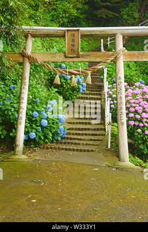 Santuario Sumiyoshi, Prefettura di Kumamoto, Giappone Foto Stock