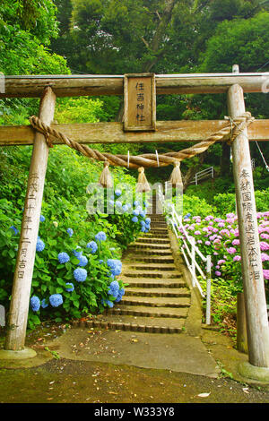 Santuario Sumiyoshi, Prefettura di Kumamoto, Giappone Foto Stock