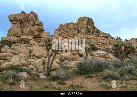 Parco nazionale di Joshua Tree Foto Stock