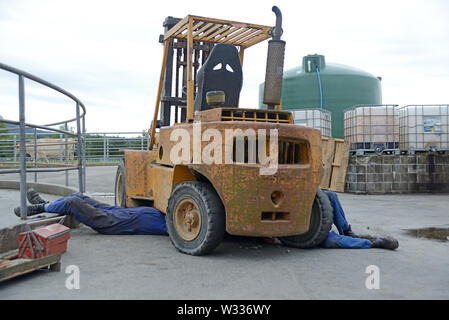 Due lavori di meccanica al di sotto di un carrello parcheggiato fino a un cantiere di caseificio Foto Stock