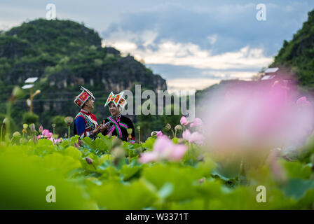 Qiubei cinese della provincia dello Yunnan. 11 Luglio, 2019. I visitatori del Zhuang gruppo etnico visualizza i fiori di loto presso il National Puzhehei wetland park in Qiubei County, a sud-ovest della Cina di Provincia di Yunnan, luglio 11, 2019. Credito: Jiang Wenyao/Xinhua/Alamy Live News Foto Stock