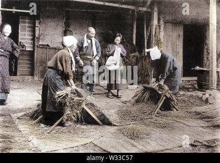 [ 1900 Giappone - Gli agricoltori la trebbiatura del riso ] - La coltivazione del riso in Giappone: la trebbiatura del riso. Questa immagine proviene da "Il Riso in Giappone", pubblicato nel 1907 (Meiji 40) da Kobe basato fotografo Teijiro Takagi. 9 del 19 xx secolo collotipia vintage print. Foto Stock