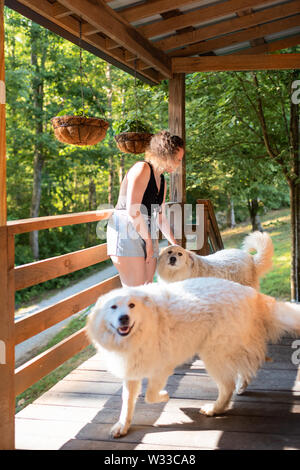 Giovane donna petting due bianchi grande pirenei cani al di fuori di casa portico di log cabin Foto Stock