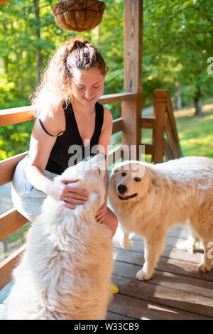 Giovane donna felice petting due bianchi grande pirenei cani al di fuori di casa portico di log cabin Foto Stock