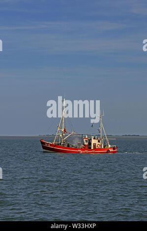 Jade bay, niedersachsen/Germania - 05 settembre 2013: una pesca di gamberetti barca a lavorare off wilhelmshaven Foto Stock