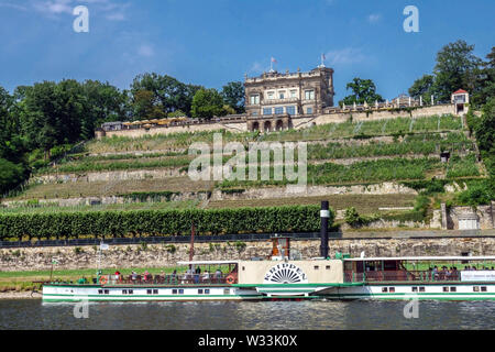 Germania Dresda, Loschwitz, Steamboat sulla Valle dell'Elba vino Germania, Europa Castello vigneto fiume barca a Lingnerschloss Foto Stock