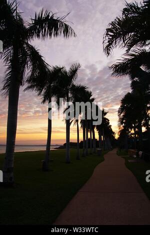 Footpath lined with Palm Tree Silhouettes rising against a Dawn Sky Foto Stock