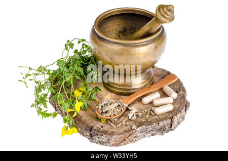 Capsule medicinali da piante selvatiche Foto Stock