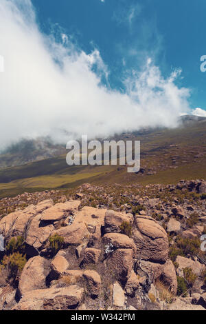 Il paesaggio della balla etiope Mountains National Park. Etiopia deserto natura pura. Giornata soleggiata con cielo blu. Foto Stock