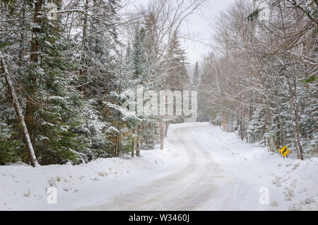 Avvolgimento di vuoto foresta strada coperta di neve durante una nevicata Foto Stock