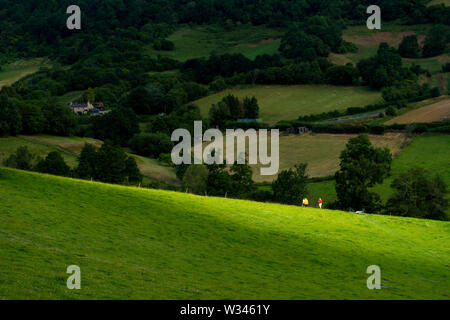 Batheaston, Somerset, Regno Unito. 12 luglio 2019. Passare la luce del sole si illumina brevemente gli scuotipaglia nei campi sopra il villaggio su una calda umida giorno d'estate. Credito: Richard Wayman/Alamy Live News Foto Stock