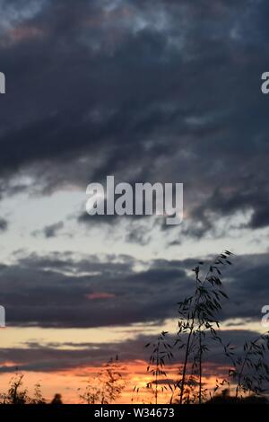 Tramonto sul flat suffolk campi con alcuni alberi in lontananza, viola scuro nuvole e un bello e caldo bagliore arancione nel cielo. Foto Stock