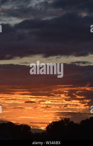 Tramonto sul flat suffolk campi con alcuni alberi in lontananza, viola scuro nuvole e un bello e caldo bagliore arancione nel cielo. Foto Stock