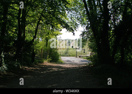 South Downs al di sopra di Chichester Foto Stock