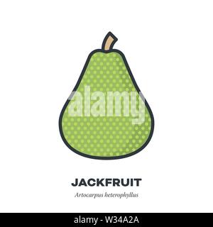 Icona jackfruit, contorno a colori stile di riempimento illustrazione vettoriale Illustrazione Vettoriale