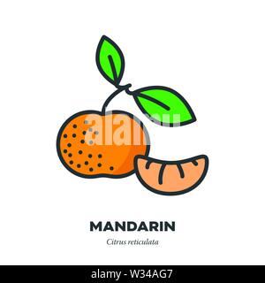 Arancio mandarino icona di frutta, contorno a colori stile di riempimento illustrazione vettoriale, frutta intera con foglie e segmento Illustrazione Vettoriale