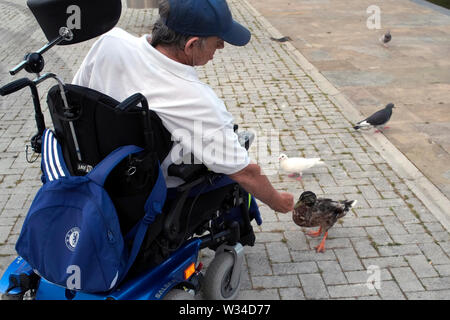 Immagine di un uomo legato a una sedia a rotelle di mezza età che alimenta un'anatra dalla sua mano ad Aylesbury, Buckinghamshire, Inghilterra, luglio 2019. Foto Stock