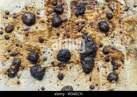 Bruciato di macchie di grasso sulla cucina parchmanet carta dopo il forno grillingn alimentare. Malsana che provocano il cancro ingridients. Foto Stock