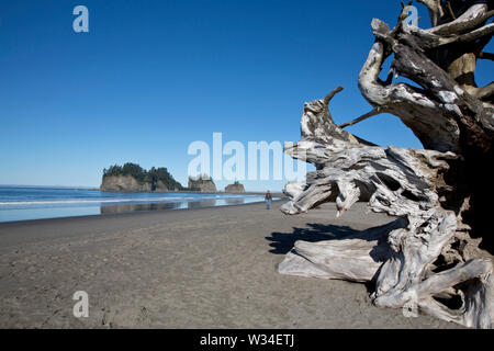 SEATTLE STATI UNITI Foto Stock