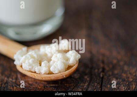 Organici latte probiotici kefir grani. Funghi tibetana i grani sono sul cucchiaio di legno e kefir latte in un bicchiere sul tavolo di legno. Foto Stock