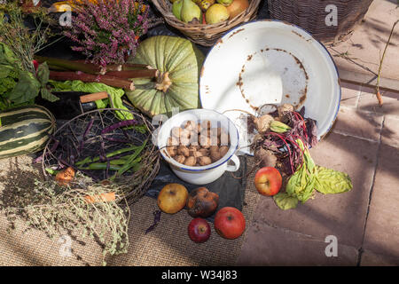 Frutta e verdura al giorno del Ringraziamento altare, ringraziamento, Liebfrauenkirche in autunno, Fischerhude, Bassa Sassonia, Germania, Europa Foto Stock