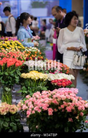 Kunming, la Cina della provincia dello Yunnan. 12 Luglio, 2019. La gente visita il ventesimo Kunming International Flower Expo di Cina a Kunming Dianchi International Convention and Exhibition Centre di Kunming, capitale del sud-ovest della Cina di Provincia di Yunnan, luglio 12, 2019. Oltre 400 espositori provenienti da 19 Paesi assistono all'expo che ha dato dei calci a fuori qui il venerdì. Credito: Hu Chao/Xinhua/Alamy Live News Foto Stock