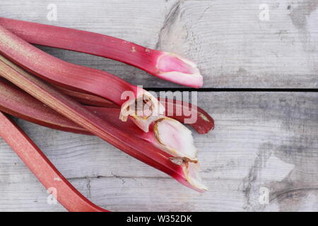 Rheum rhabarbarum. Appena raccolto il rabarbaro steli su un tavolo di legno. Il fogliame è tossico. Foto Stock