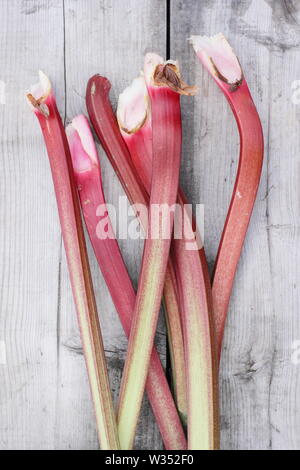 Rheum rhabarbarum. Appena raccolto il rabarbaro steli su un tavolo di legno. Il fogliame è tossico. Foto Stock