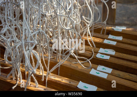 Numerate treadles legato con corde a mano in legno telaio di tessitura Foto Stock