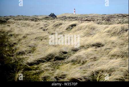 Sylt, Germania. 19 Feb, 2019. Il List-Ost faro sull isola di Sylt. Sylt è la più grande del nord Isola Frisone in Germania. Credito: Britta Pedersen/dpa-Zentralbild/ZB/dpa/Alamy Live News Foto Stock