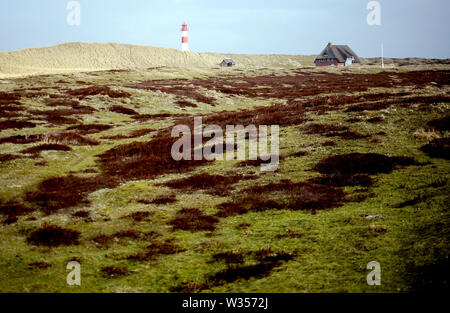 Sylt, Germania. 19 Feb, 2019. Il List-Ost faro sull isola di Sylt. Sylt è la più grande del nord Isola Frisone in Germania. Credito: Britta Pedersen/dpa-Zentralbild/ZB/dpa/Alamy Live News Foto Stock