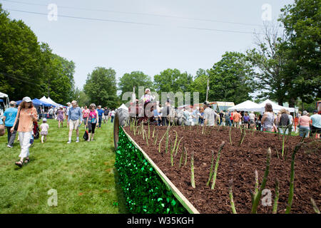 La Hadley, Massachusetts è famosa per la loro gli asparagi e hanno una festa per celebrare il raccolto. Foto Stock