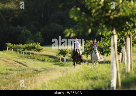 Due giovani ragazza a cavallo sulla passeggiata senza sella in estate Foto Stock