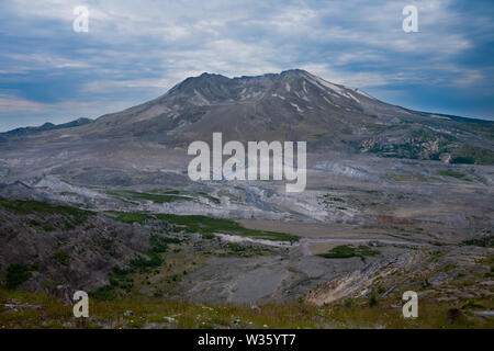 Mt St. Helen è un esempio perfetto di come pure la natura fa senza l uomo interferire, in qualsiasi direzione, qualsiasi tipo di assistenza, la guarigione avviene e sarà totalmente. Foto Stock