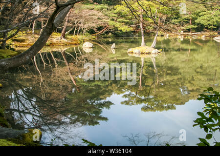 Storico giapponese vecchio palazzo durante la fioritura dei ciliegi - hanami Foto Stock