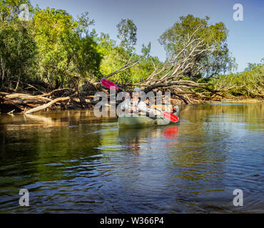 Avventura tour con un kayak sul fiume Katherine, Territori del Nord, Australia Foto Stock