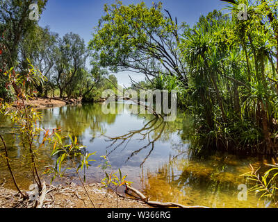 Katherine River, Territori del Nord, Australia Foto Stock