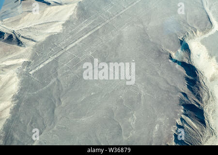 Linee di Nazca in Perù Foto Stock