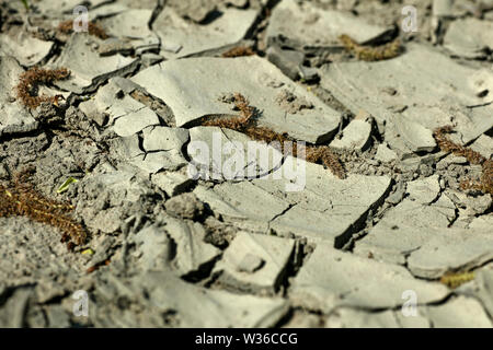 Lippe fiume Dorsten Olfen sfondo stampe di alta qualità prodotti Foto Stock