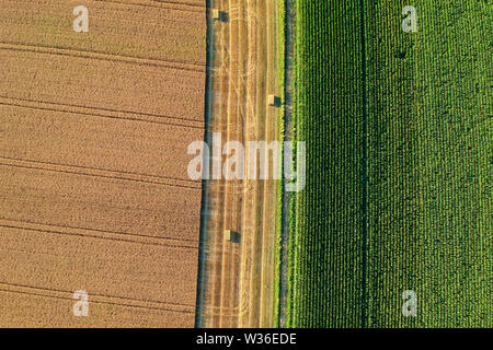 Campo agricolo è vista dalla parte superiore da un drone Foto Stock